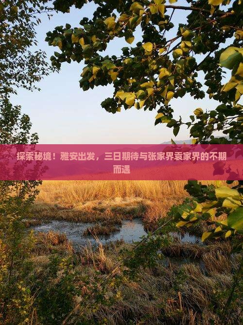 探索秘境！雅安出发，三日期待与张家界袁家界的不期而遇