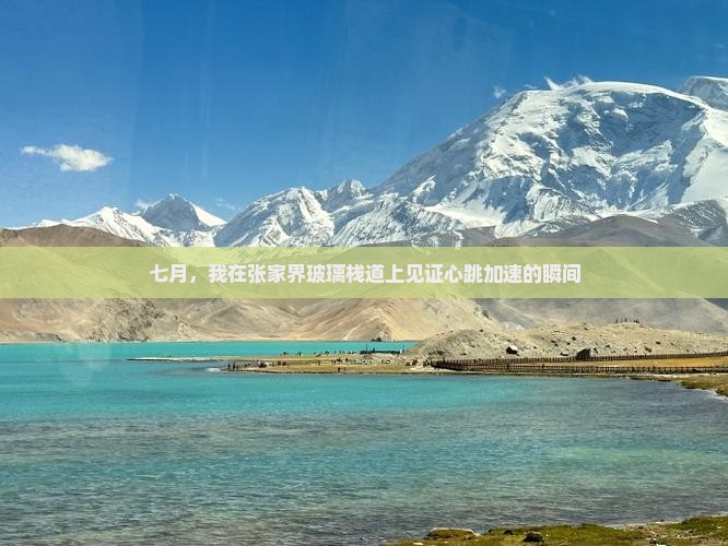 七月，我在张家界玻璃栈道上见证心跳加速的瞬间
