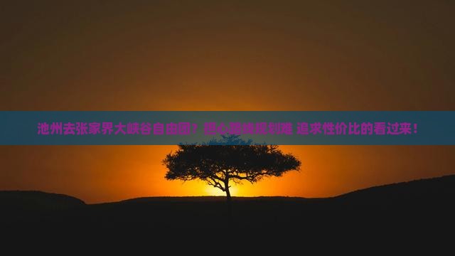 池州去张家界大峡谷自由团？担心路线规划难+追求性价比的看过来！