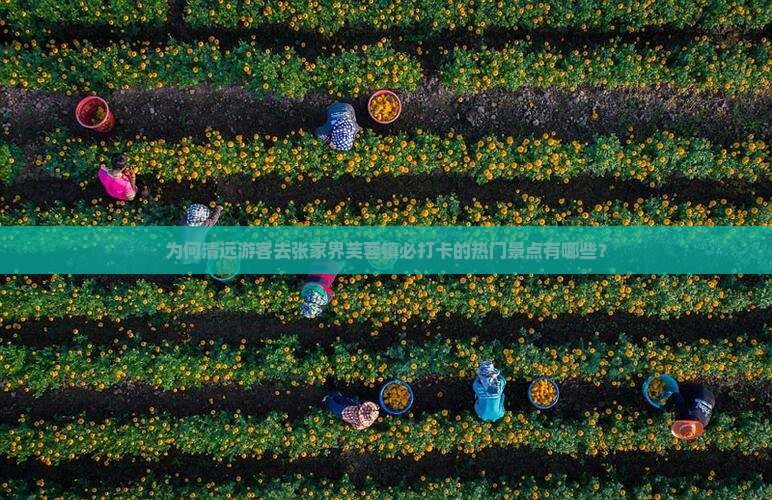 为何清远游客去张家界芙蓉镇必打卡的热门景点有哪些？