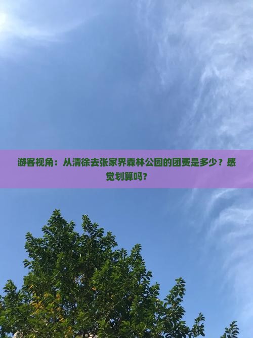游客视角：从清徐去张家界森林公园的团费是多少？感觉划算吗？