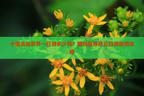 十堰去张家界一日游多少钱？路线推荐及三日游旅游攻略