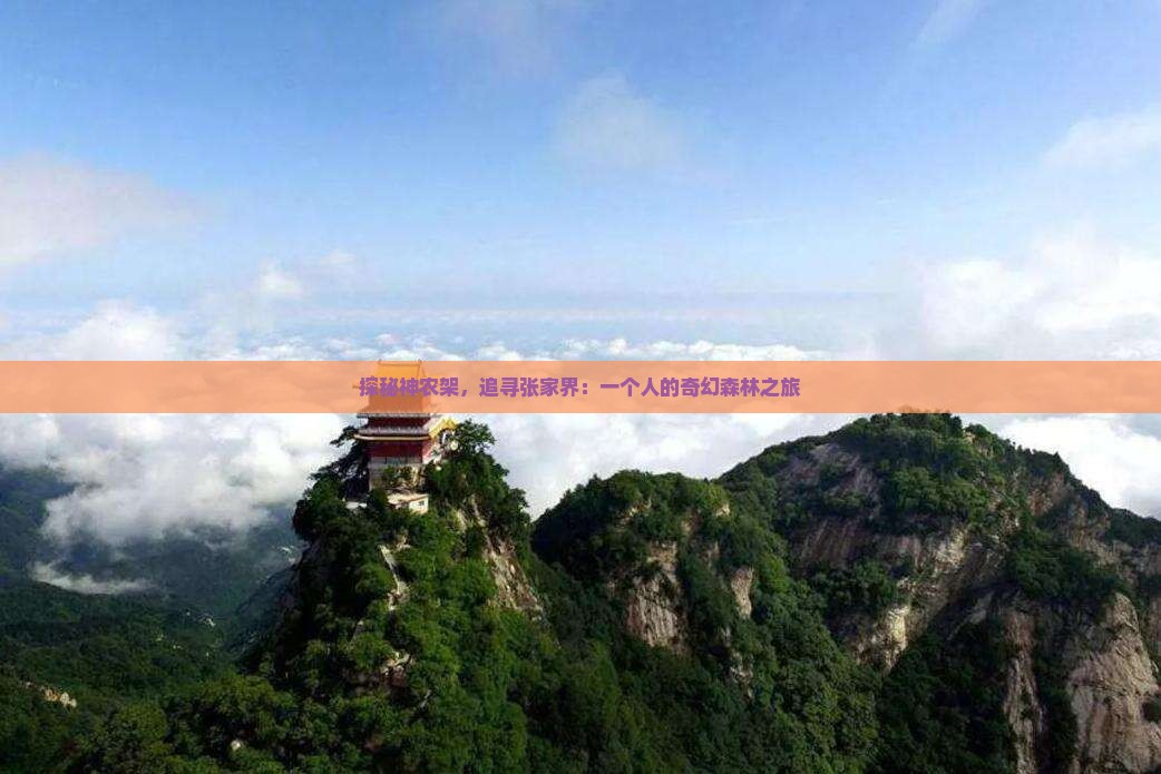 探秘神农架，追寻张家界：一个人的奇幻森林之旅