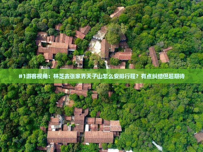#1游客视角：林芝去张家界天子山怎么安排行程？有点纠结但超期待