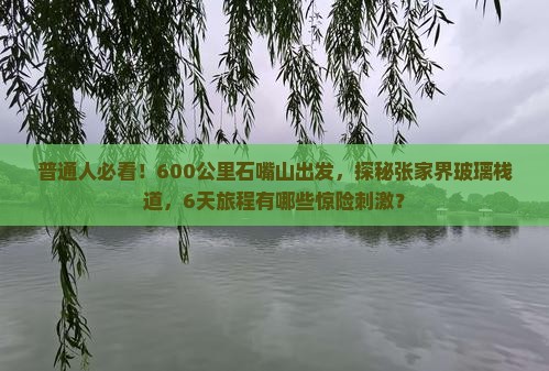 普通人必看！600公里石嘴山出发，探秘张家界玻璃栈道，6天旅程有哪些惊险刺激？