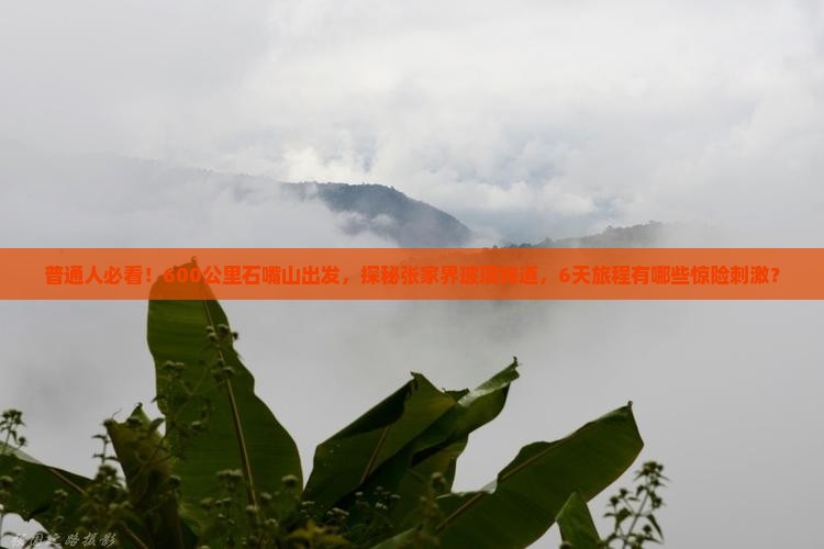 普通人必看！600公里石嘴山出发，探秘张家界玻璃栈道，6天旅程有哪些惊险刺激？