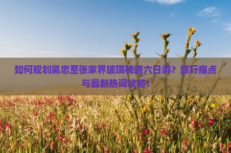 如何规划吴忠至张家界玻璃栈道六日游？旅行痛点与最新热词攻略！
