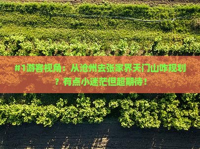 #1游客视角：从沧州去张家界天门山咋规划？有点小迷茫但超期待！