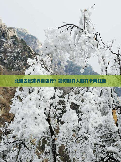 北海去张家界自由行？如何避开人潮打卡网红地