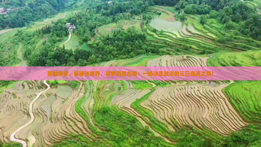 穿越泰安，探秘张家界，寻梦凤凰古城：一场说走就走的三日奇遇之旅！