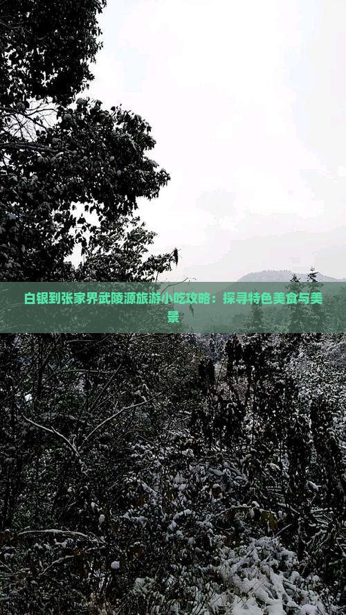 白银到张家界武陵源旅游小吃攻略：探寻特色美食与美景