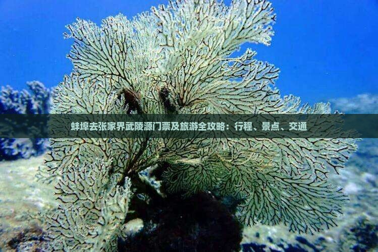 蚌埠去张家界武陵源门票及旅游全攻略：行程、景点、交通