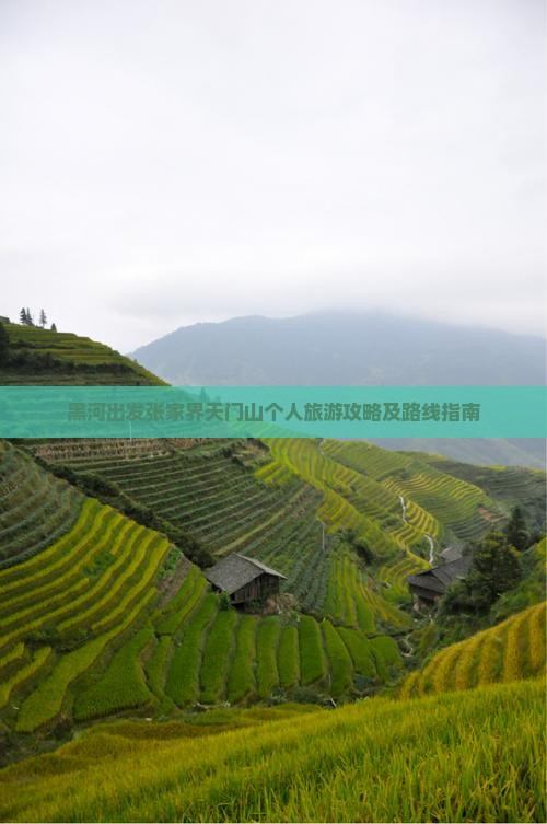 黑河出发张家界天门山个人旅游攻略及路线指南