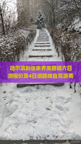 哈尔滨到张家界芙蓉镇六日游报价及4日游路线自驾游费用