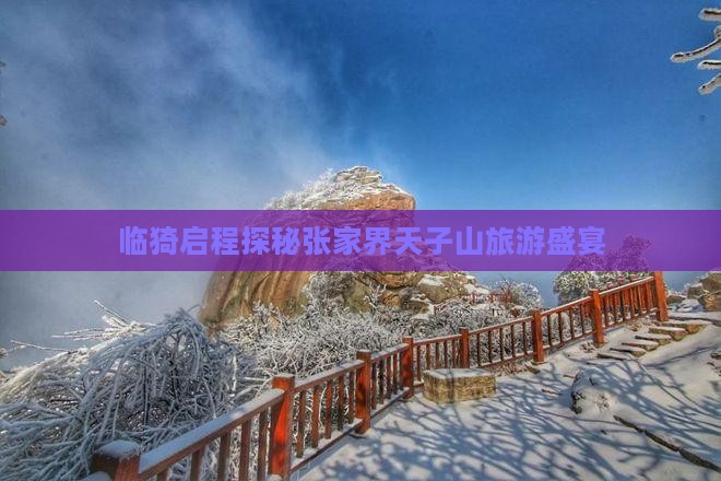 临猗启程探秘张家界天子山旅游盛宴
