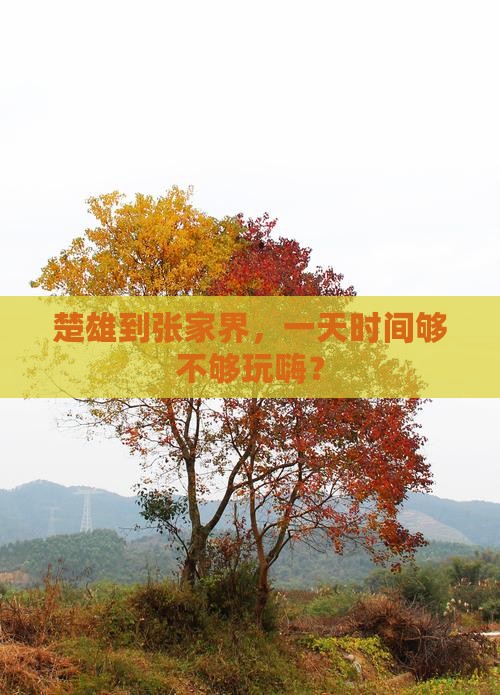 楚雄到张家界，一天时间够不够玩嗨？