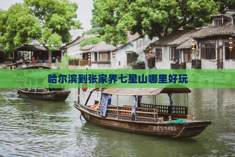 哈尔滨到张家界七星山哪里好玩