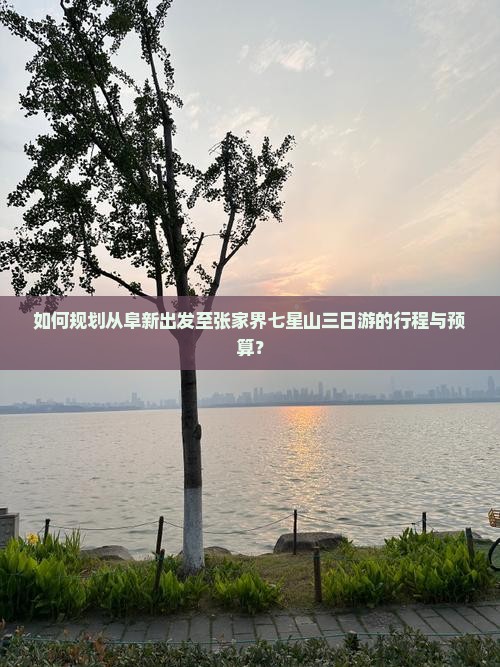 如何规划从阜新出发至张家界七星山三日游的行程与预算？