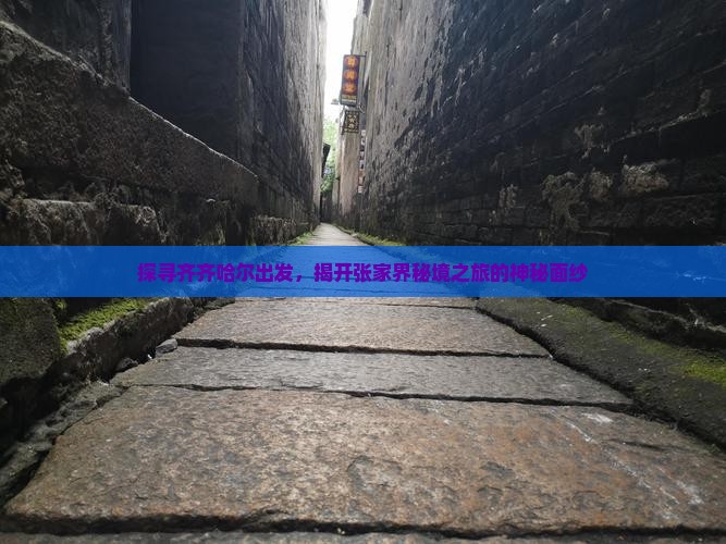 探寻齐齐哈尔出发，揭开张家界秘境之旅的神秘面纱