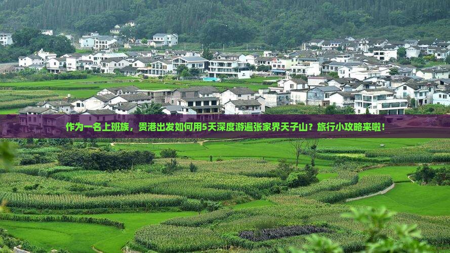 作为一名上班族，贵港出发如何用5天深度游遍张家界天子山？旅行小攻略来啦！