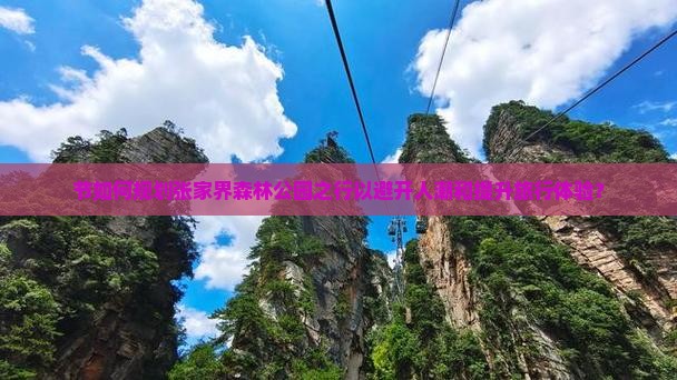 节如何规划张家界森林公园之行以避开人潮和提升旅行体验？