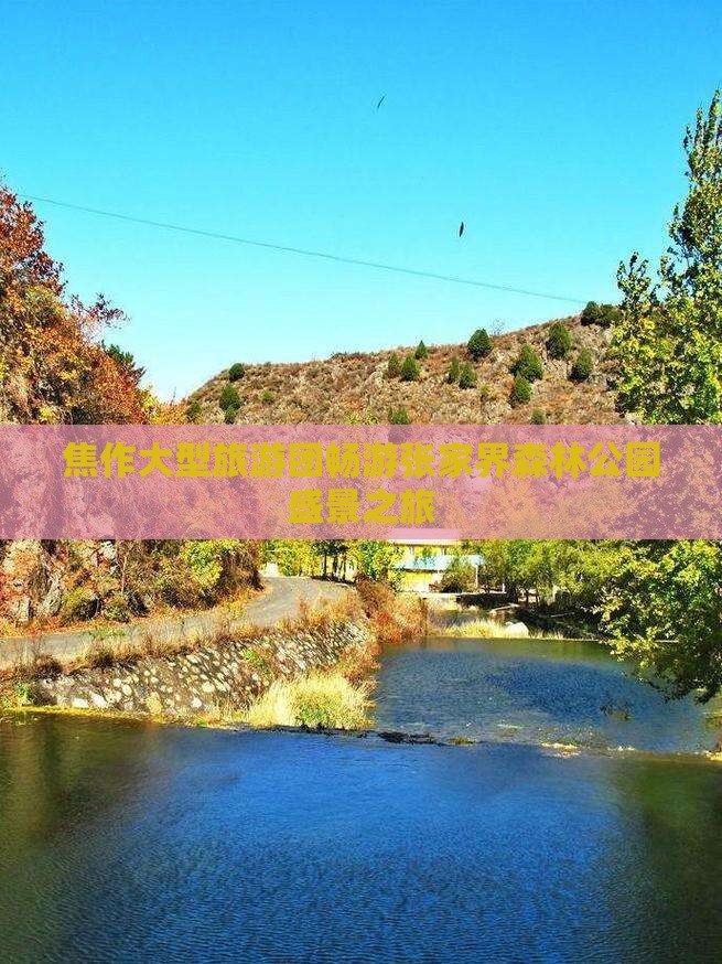 焦作大型旅游团畅游张家界森林公园盛景之旅