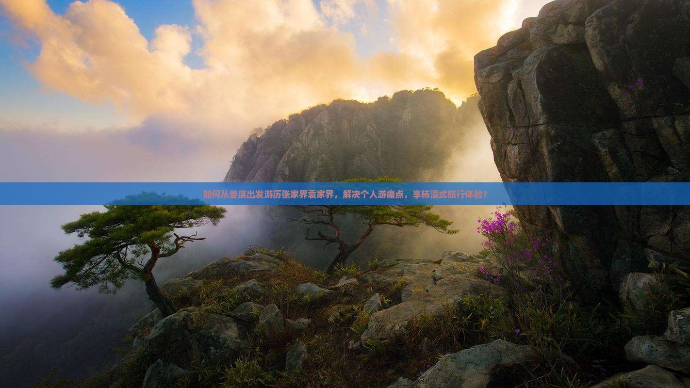 如何从娄底出发游历张家界袁家界，解决个人游痛点，享柿浸式旅行体验？