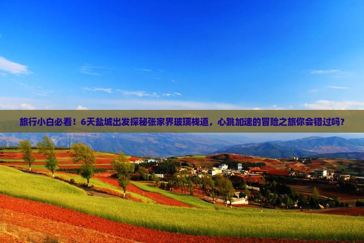旅行小白必看！6天盐城出发探秘张家界玻璃栈道，心跳加速的冒险之旅你会错过吗？