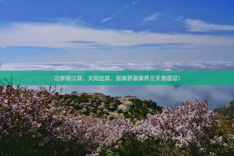 三步闯江湖，大同出发，张家界袁家界三天奇遇记！