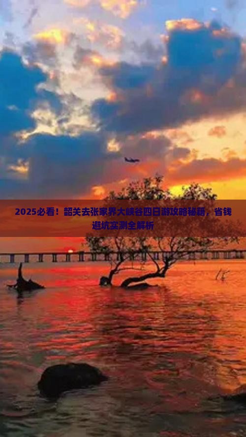 韶关去张家界大峡谷四日游