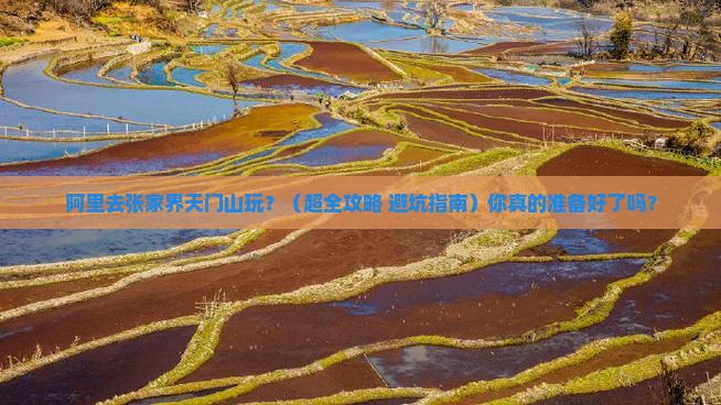 阿里去张家界天门山哪里玩