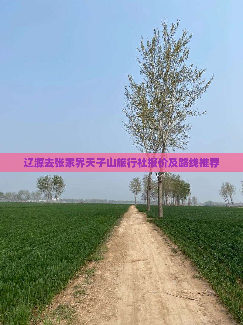 辽源去张家界天子山旅行社