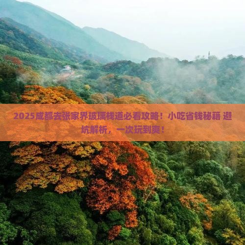 成都去张家界玻璃栈道旅游小吃