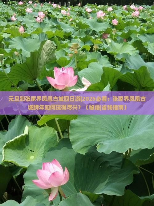 元旦到张家界凤凰古城四日游