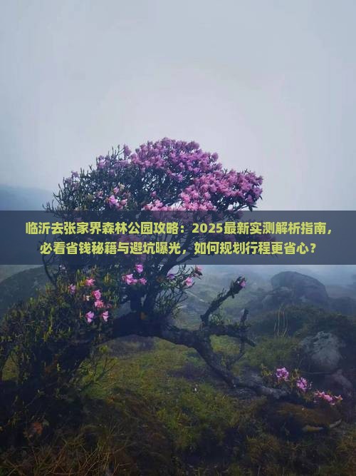 临沂去张家界森林公园攻略 临沂去张家界森林公园攻略