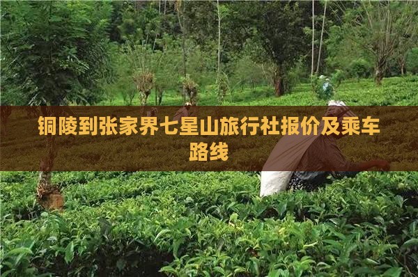 铜陵到张家界七星山旅行社