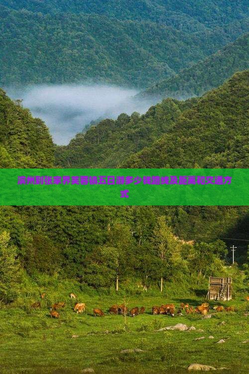 滨州到张家界芙蓉镇五日游