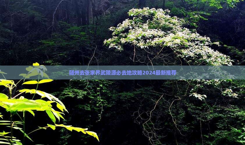 随州去张家界武陵源必去地