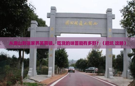 唐山到张家界芙蓉镇旅游小吃