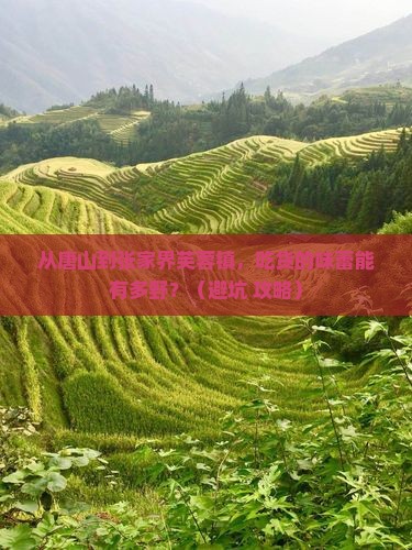 唐山到张家界芙蓉镇旅游小吃