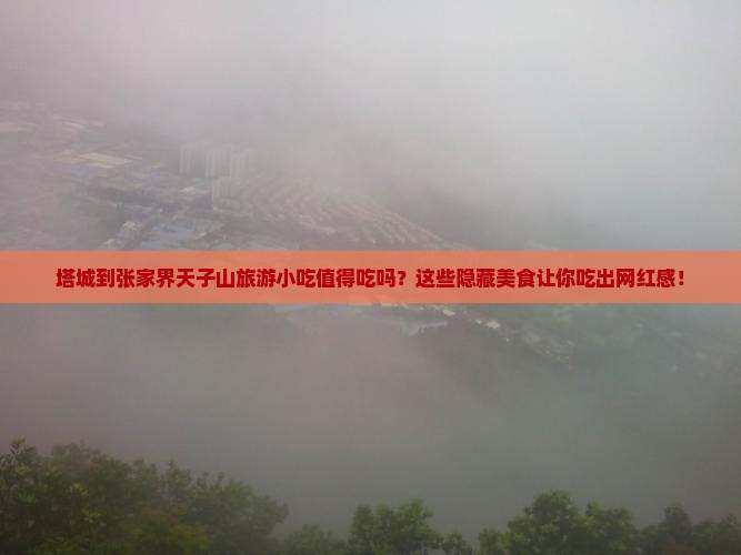 塔城到张家界天子山旅游小吃