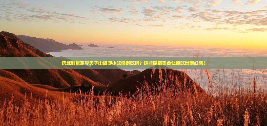 塔城到张家界天子山旅游小吃