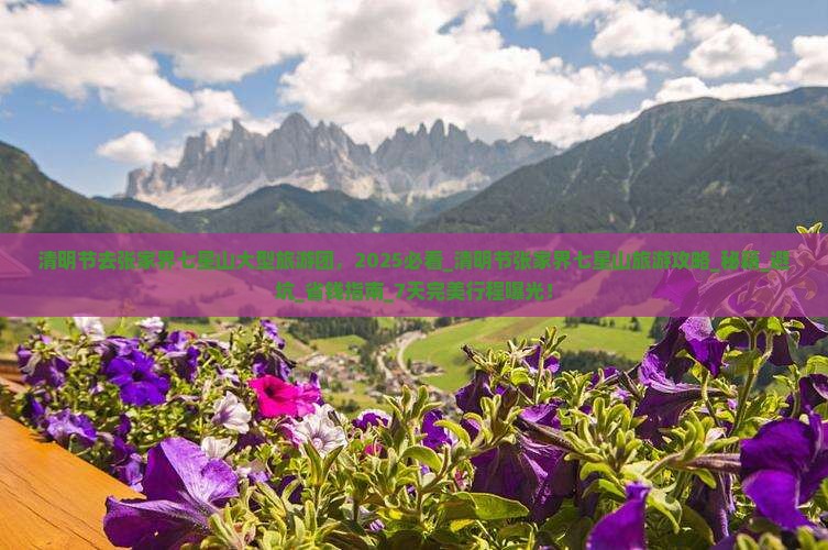 清明节去张家界七星山大型旅游团