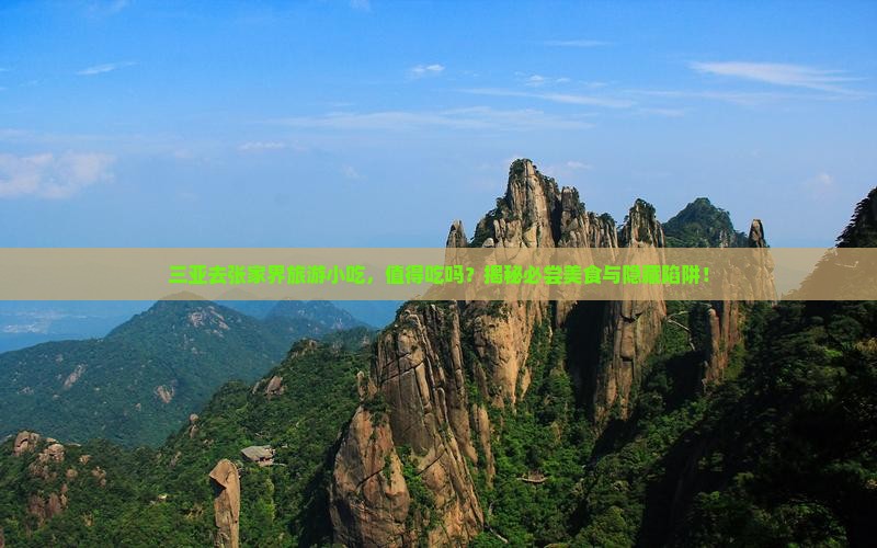 三亚去张家界旅游小吃