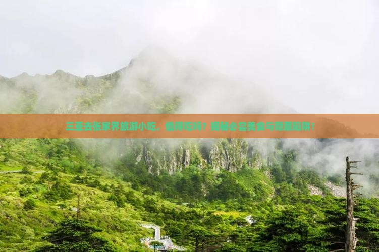 三亚去张家界旅游小吃