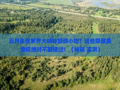 五月去张家界大峡谷旅游小吃