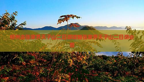 柳州去张家界天子山二日游