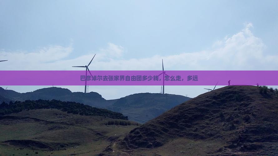 巴彦淖尔去张家界自由团