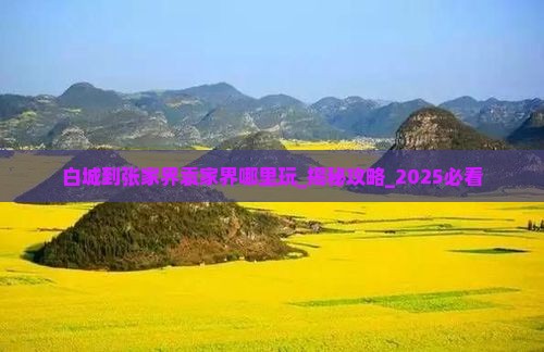 白城到张家界袁家界哪里玩
