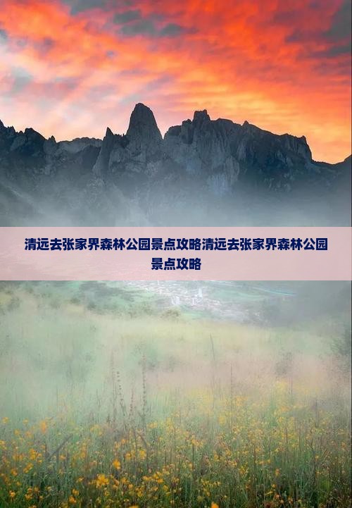 清远去张家界森林公园景点